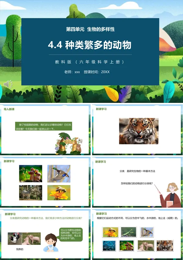 教科版六年级科学上册种类繁多的动物PPT下载课件