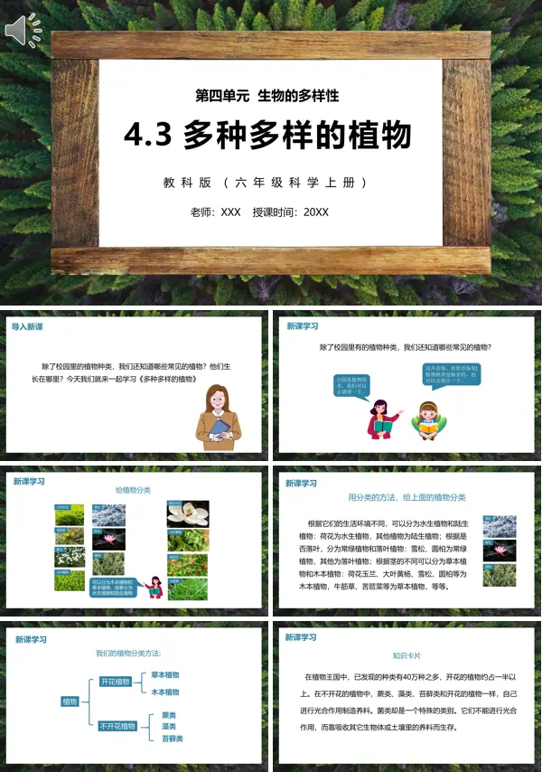六年级科学上册多种多样的植物PPT课件