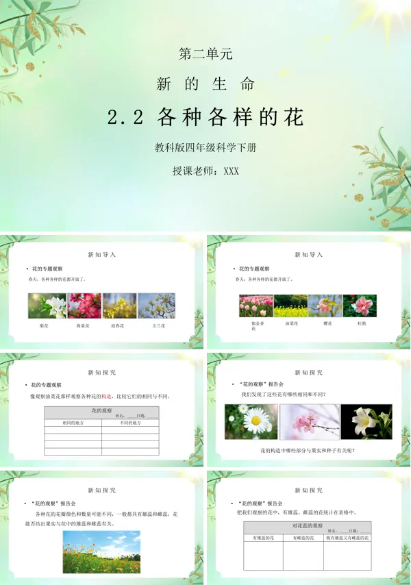 新的生命各种各样的花ppt课件
