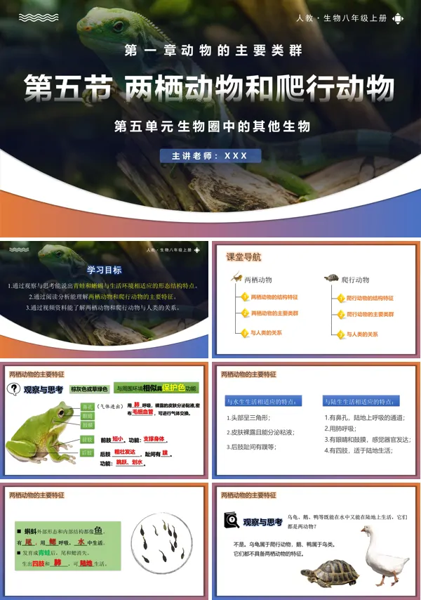 人教八年级生物上册5.1.5两栖动物和爬行动物PPT课件含教案