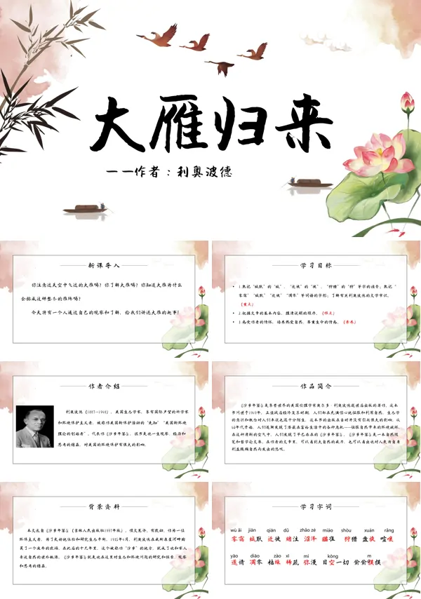 《大雁归来》PPT课件