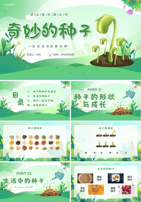 奇妙的种子大班科学PPT课件