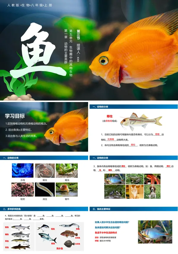 初中生物人教版八年级上册《鱼》PPT课件