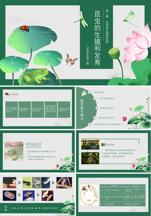 初中生物人教版八年级下册《昆虫的生殖和发育生物》PPT下载课件