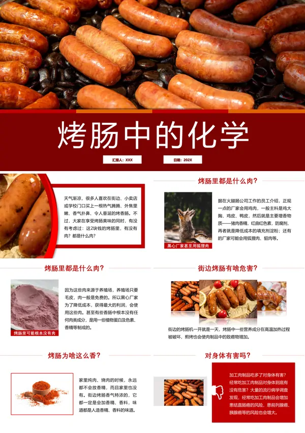 生活中的化学科普知识烤肠中的化学教育教学课件PPT