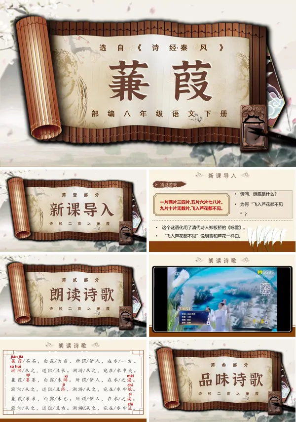部编八年级语文下册《诗经二首之蒹葭》PPT课件含教案