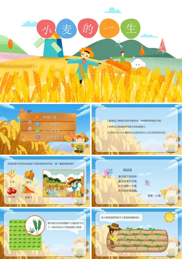 幼儿园教学课件科学教育《小麦的一生》PPT下载课件
