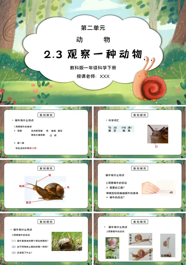 《动物-观察一种动物》PPT课件