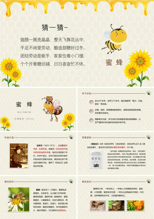 蜜蜂ppt课件