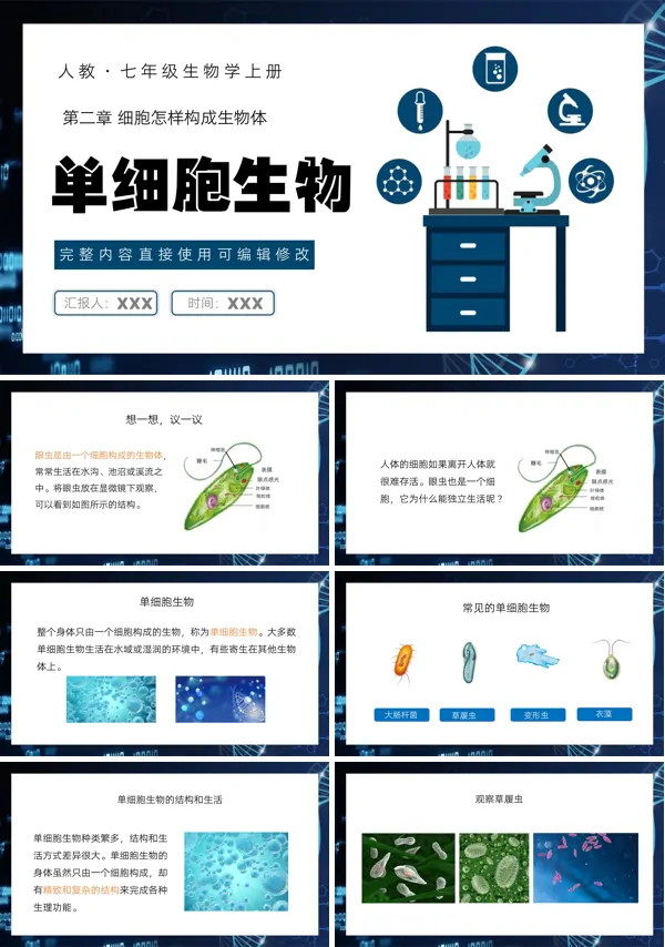 细胞怎样构成生物体单细胞生物PPT课件