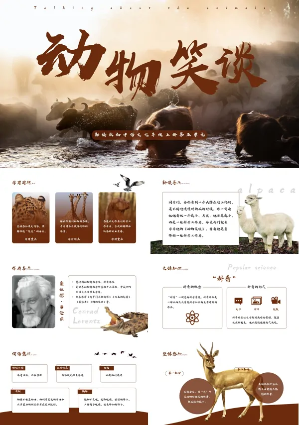 初中语文部编版七年级上册《动物笑谈》PPT课件