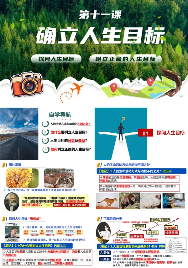 第十一课《确立人生目标》七年级上册道德与法治 人教 ppt课件(教案+分层作业+知识清单)