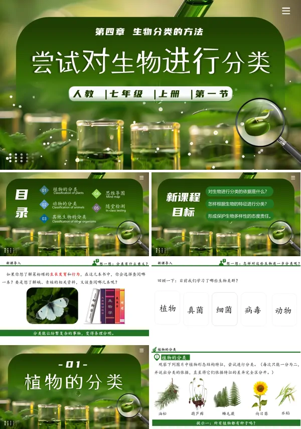 生物人教七年级生物上册尝试对生物进行分类PPT课件含教案