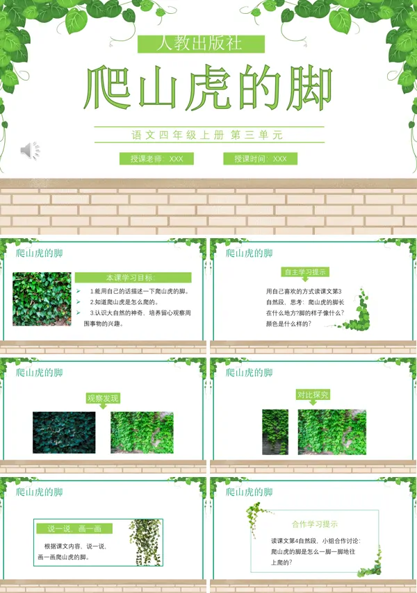 爬山虎的脚ppt课件