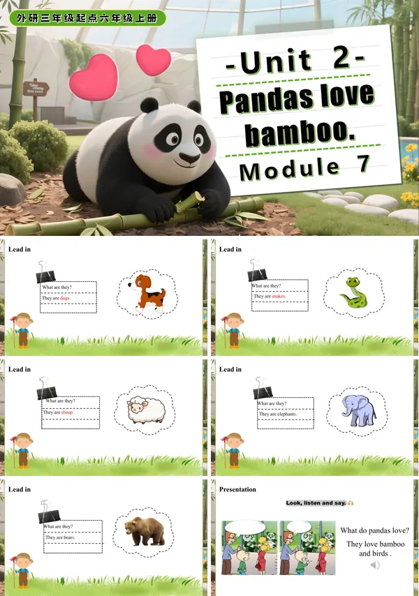 六年级英语上册外研Module 7 Unit 2 Pandas love bamboo. PPT课件含教案