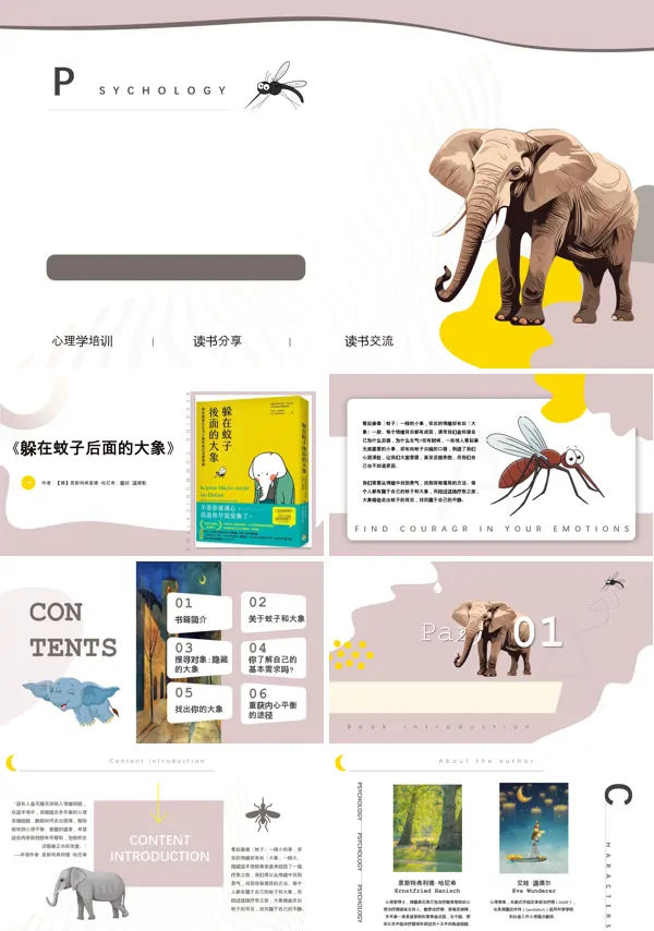 《躲在蚊子后面的大象》PPT课件读书分享含讲稿