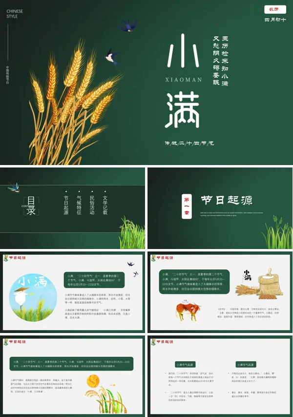 二十四节气:小满PPT模板