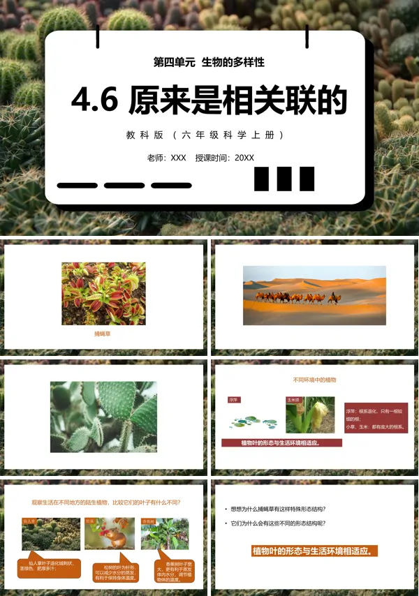 教科版六年级上册科学原来是相互关联的课件PPT模板_