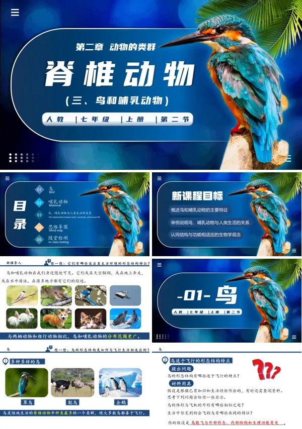 生物人教七年级生物上册脊椎动物(三、鸟和哺乳动物)PPT课件含教案