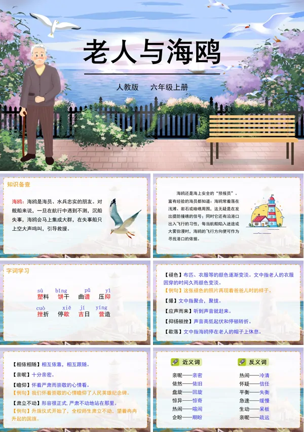 六年级上册《老人与海鸥》PPT课件
