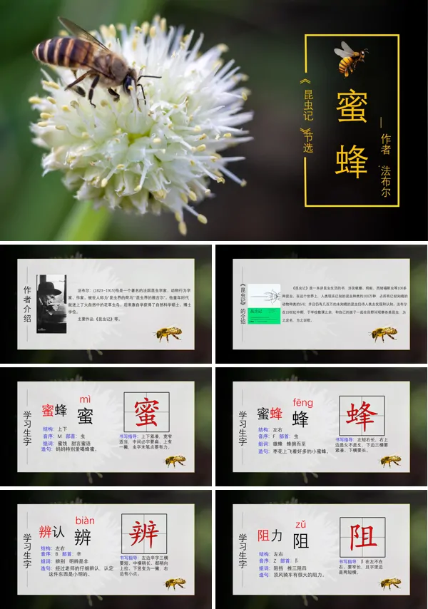 《蜜蜂》PPT课件