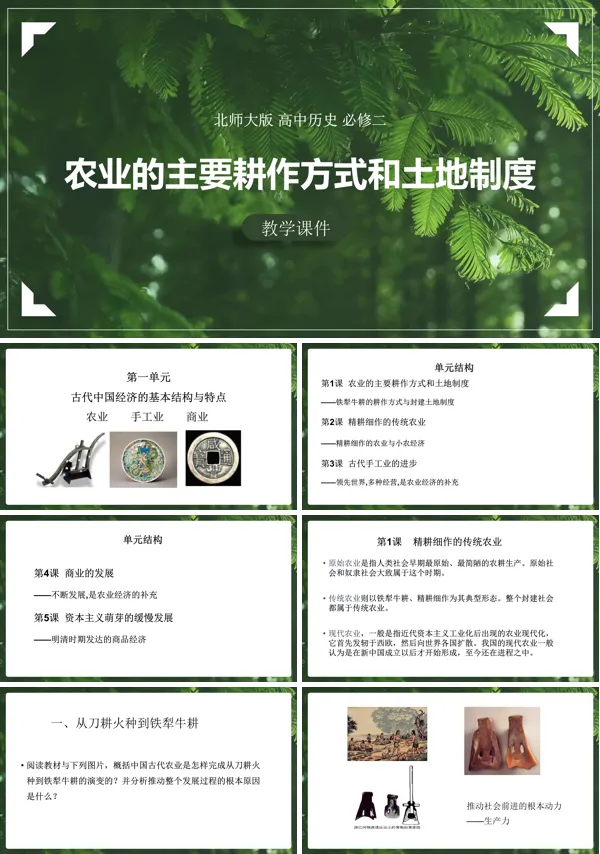 第1课农业的主要耕作方式和土地制度北师大PPT课件