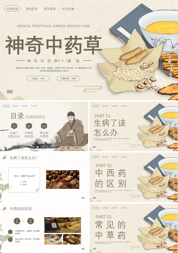 中药草介绍PPT课件免费下载
