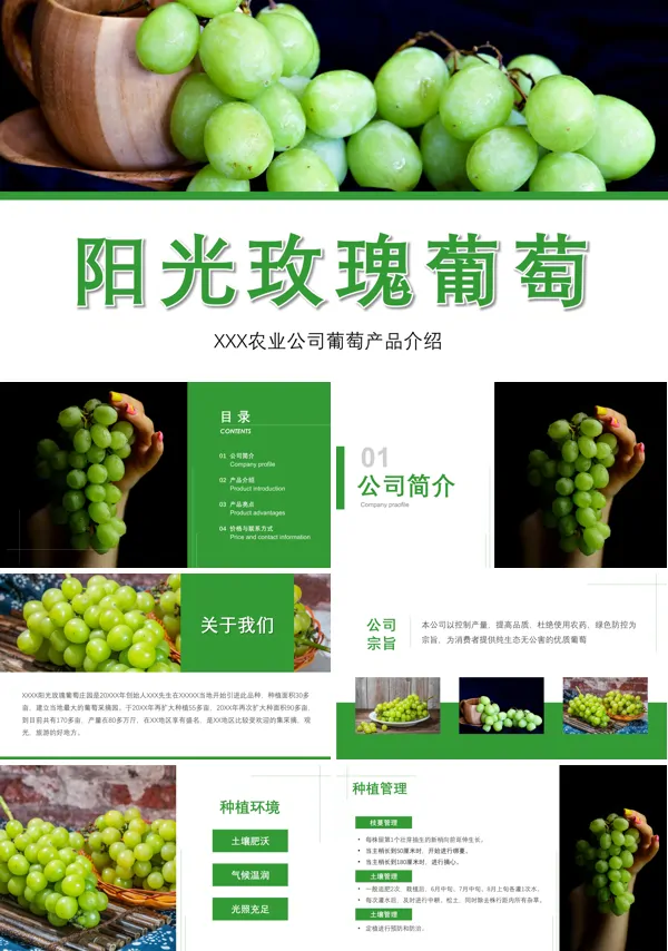 阳光玫瑰葡萄产品介绍PPT课件