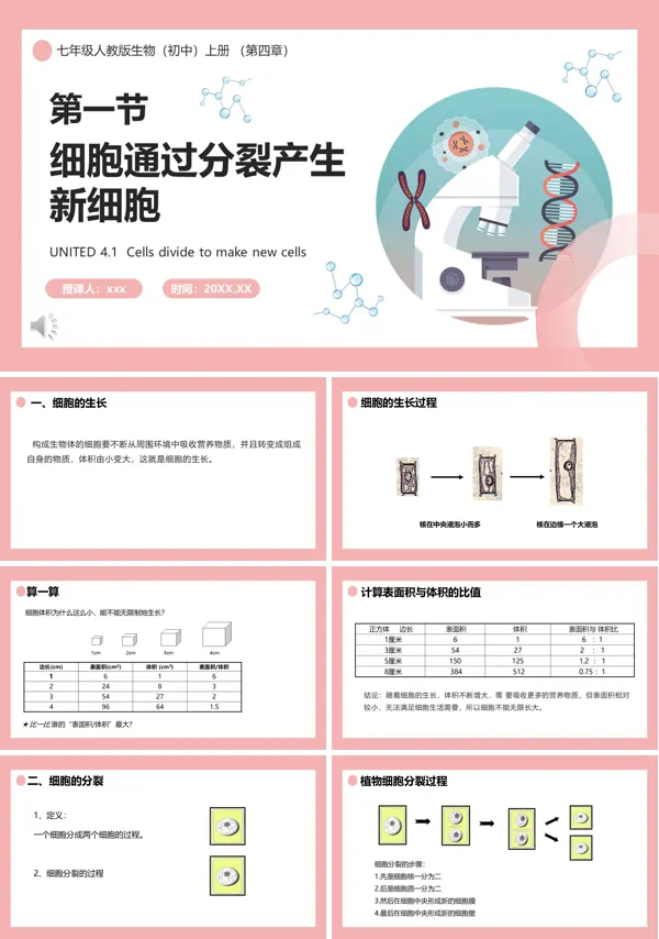 七年级生物上册细胞通过分裂产生新细胞课件PPT