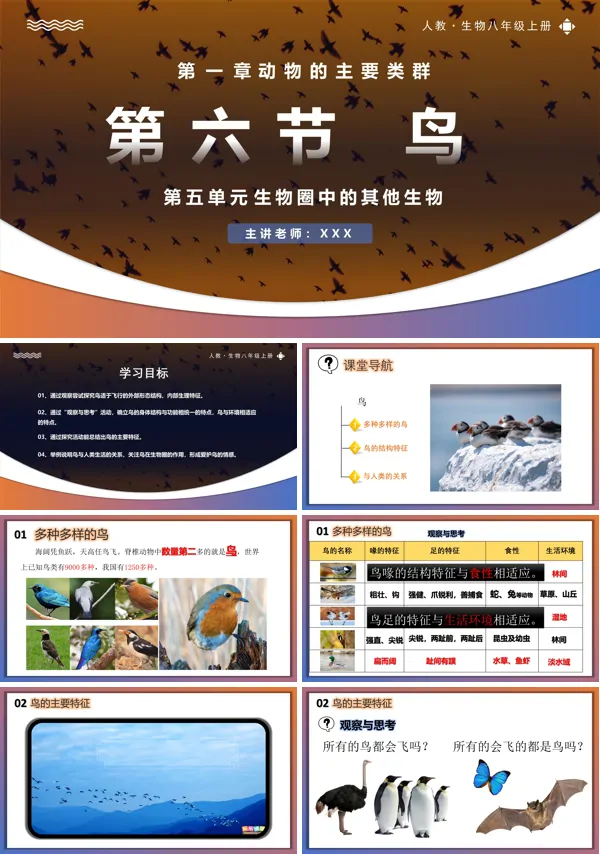 人教八年级生物上册5.1.6鸟PPT课件含教案