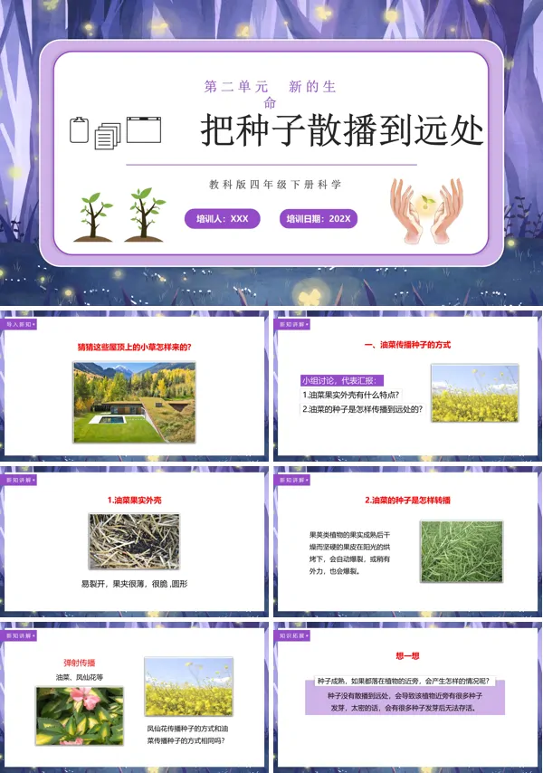 教科版四年级科学下册把种子散播到远处PPT课件