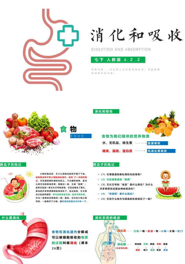 《消化和吸收》PPT课件模板