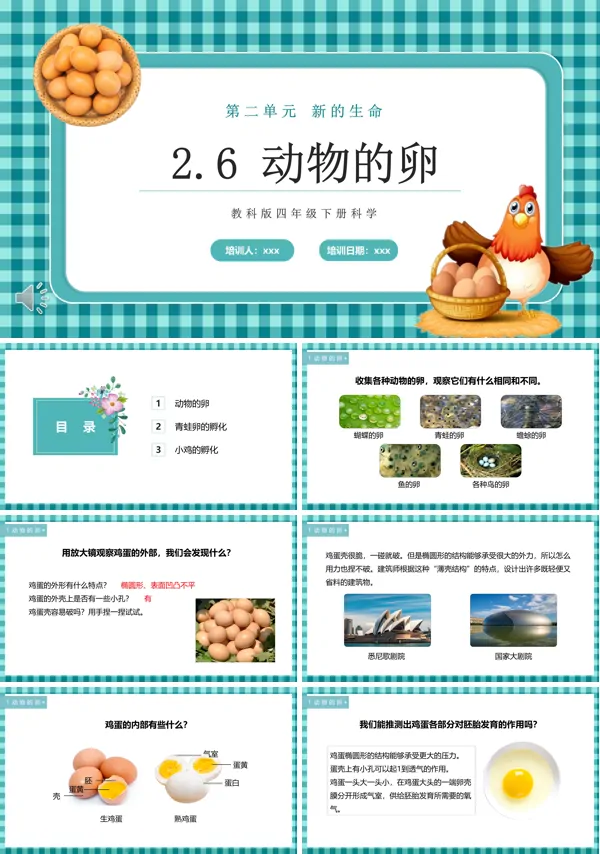 动物的卵课件PPT模板