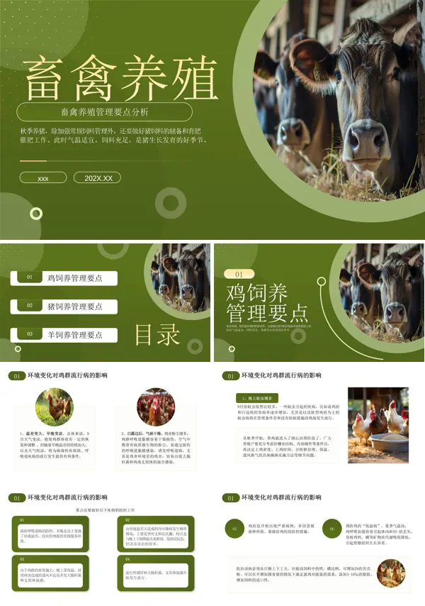 家禽家畜养殖技术培训课件PPT模板含讲稿