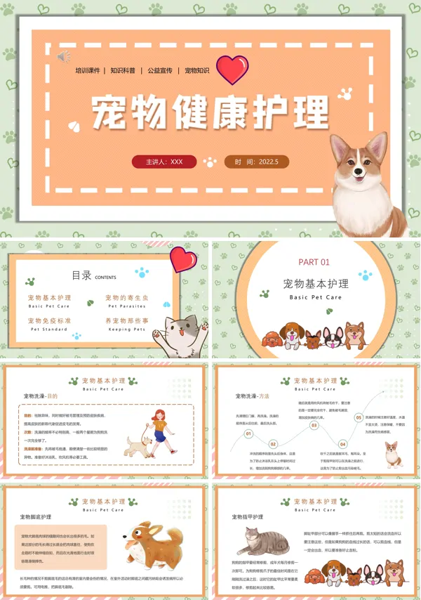 宠物日常护理小常识PPT课件