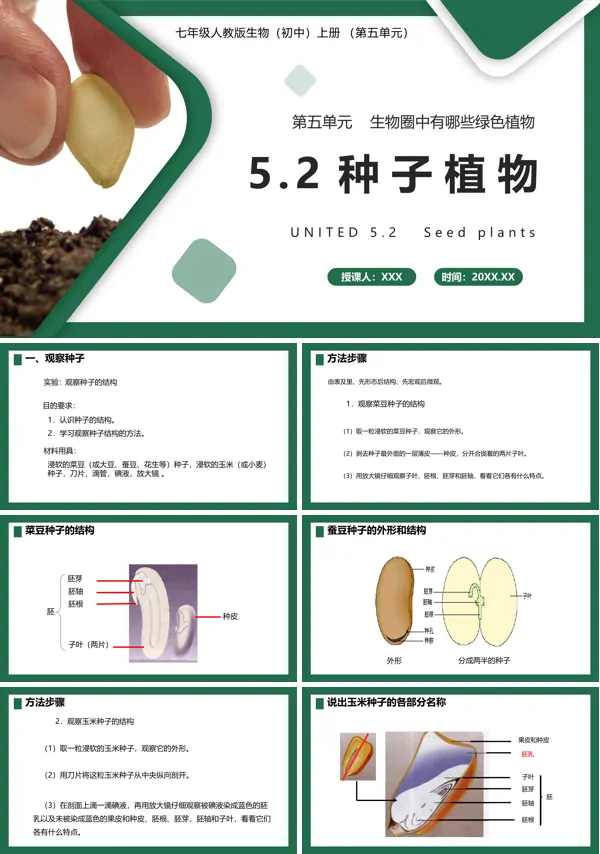 部编版七年级生物上册种子植物课件PPT