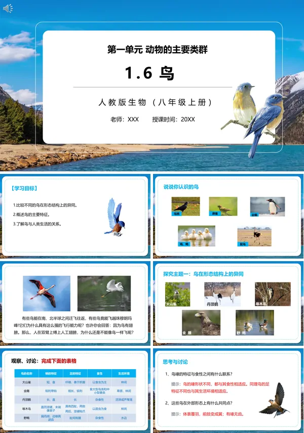 八年级生物鸟的课件PPT课件