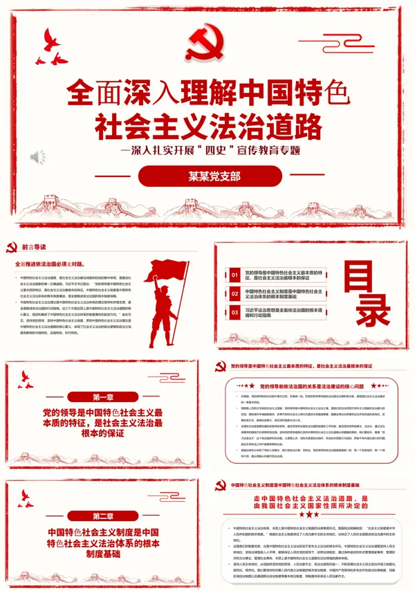 全面深入理解中国特色社会主义法治道路PPT专题党课