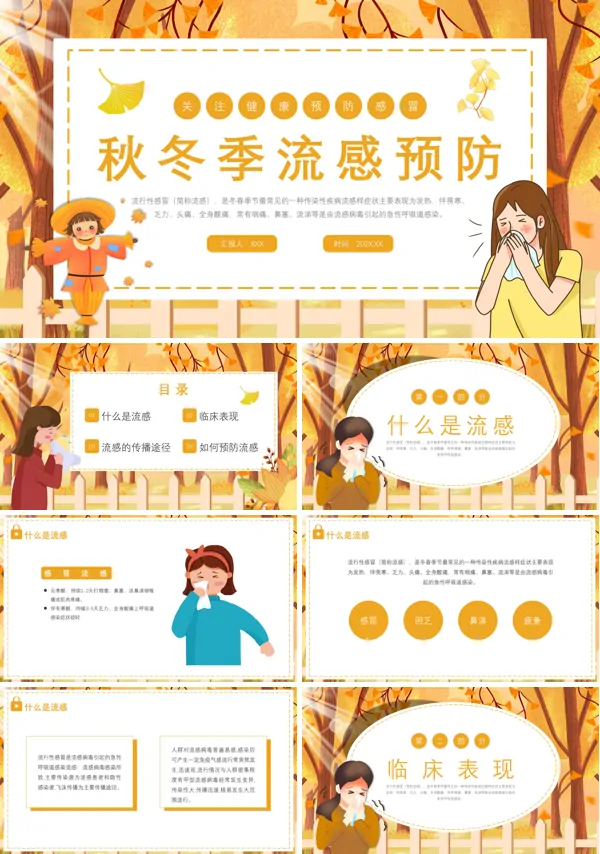 秋季流感的预防与防治课件PPT
