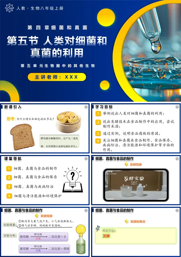 人教八年级生物上册5.4.5人类对细菌和真菌的利用PPT课件含教案