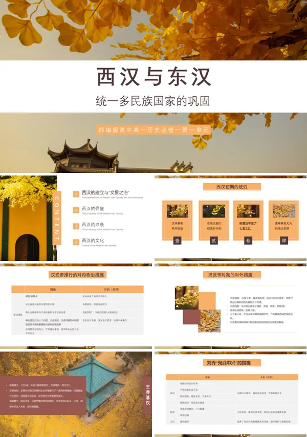 《西汉与东汉,统一多民族国家的巩固》PPT课件