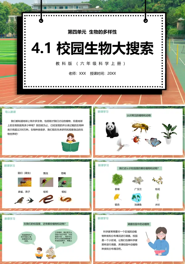 教科版六年级上册科学校园生物大搜索课件PPT模板