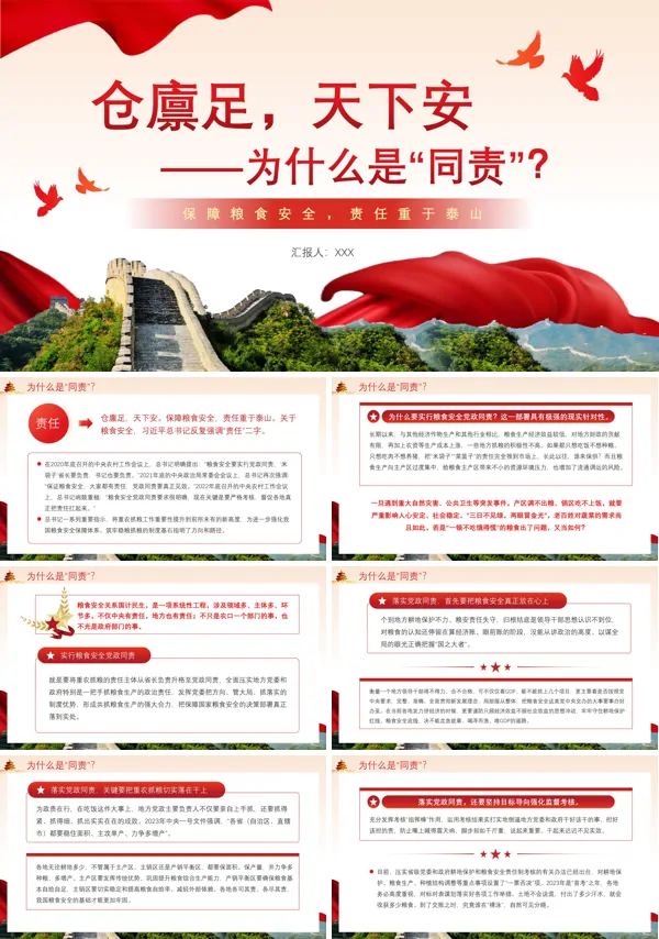 仓凛足天下安PPT专题党课