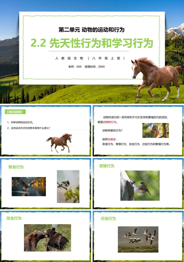 部编版八年级生物上册先天性行为和学习行为PPT模板下载