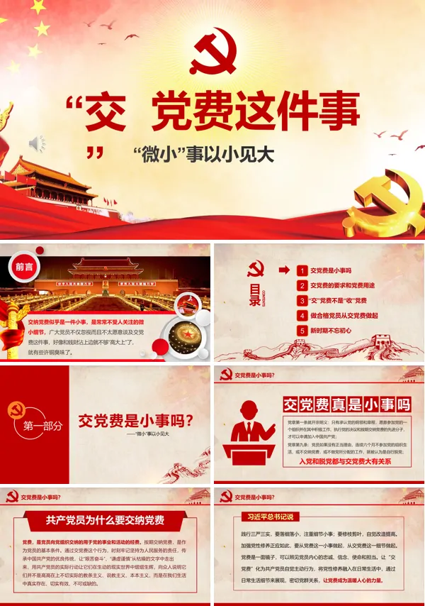 关于党费的党课ppt
