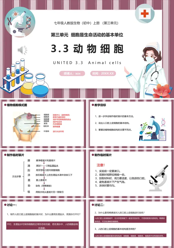 动物细胞课件PPT模板