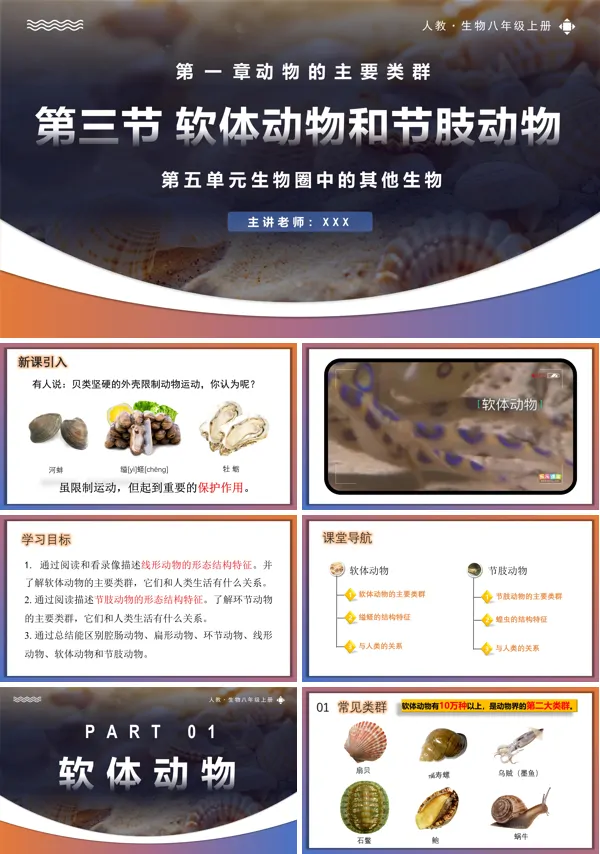 人教八年级生物上册5.1.3软体动物和节肢动物PPT课件含教案