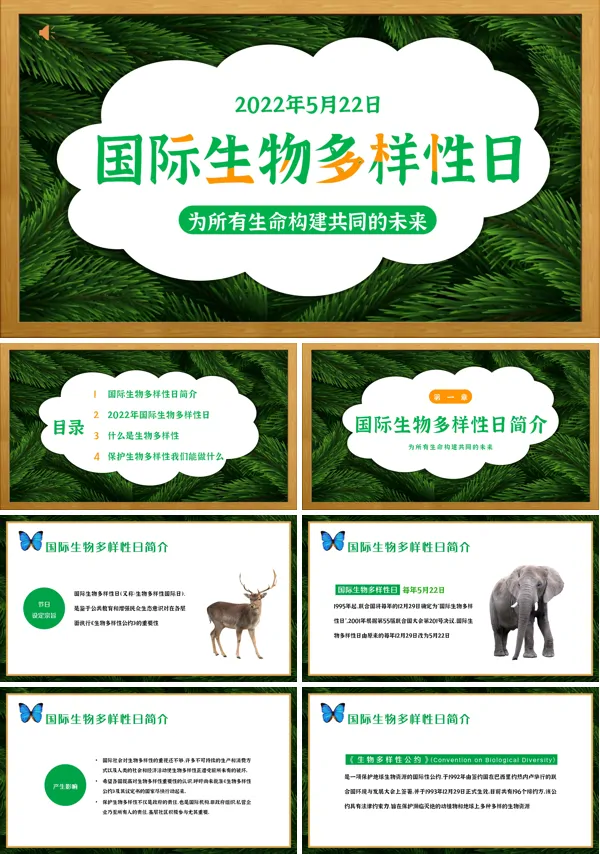 国际生物多样性日主题班会PPT含讲稿