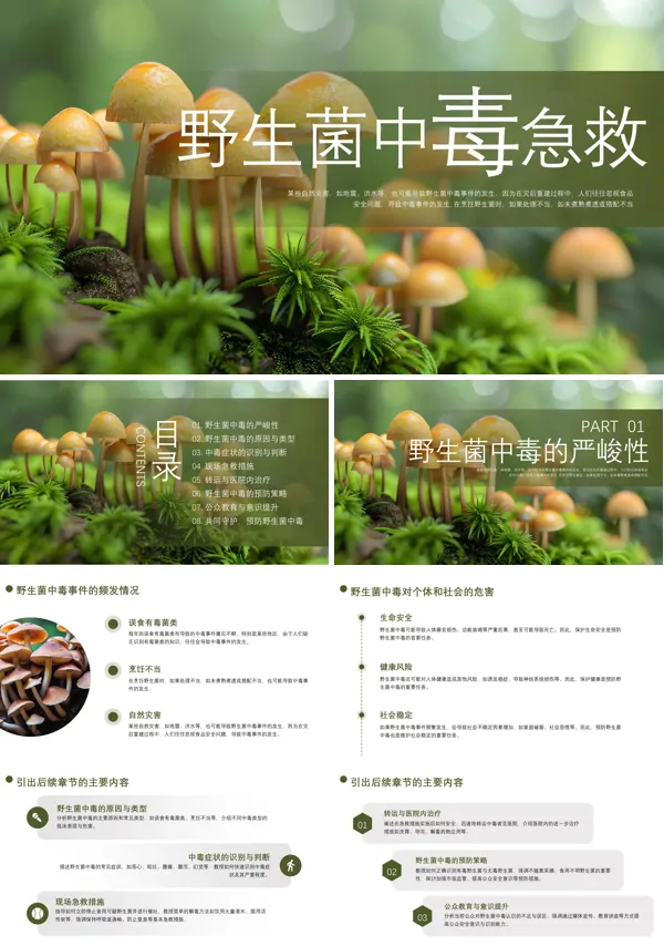 野生菌中毒急救专题培训ppt模板