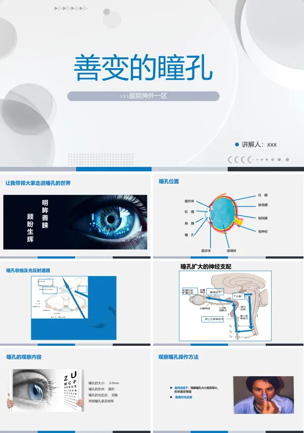 瞳孔知识介绍PPT下载课件模板